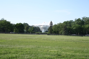 The White House from the temporary fence